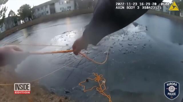 Stories From 2022 You May Have Missed