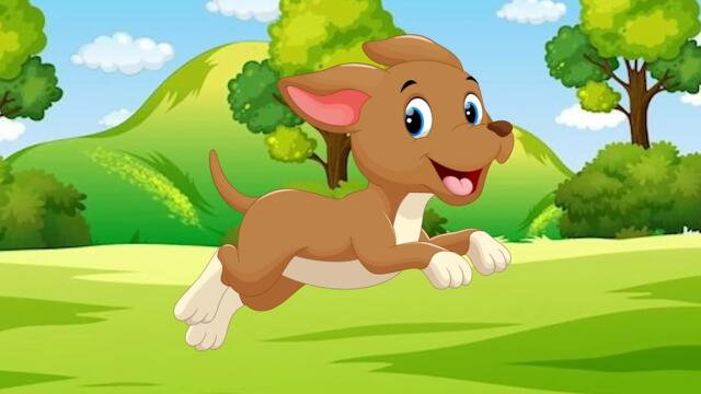 Ali Babanın Çiftliği · Kırmızı Balık · Köpeğim Hav Der · Karga Gak Dedi · Çizgi Film · Tele Mini