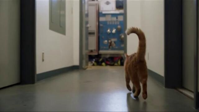 Девет котенца за Коледа The Nine Kittens of Christmas (2021)  Бг Аудио Част 1