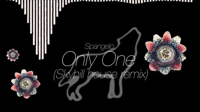 Spangelo – Only One (Skyhill house remix) [VISUALIZER]