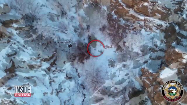 Dog Rescued on Christmas Day After Getting Lost in Mountains