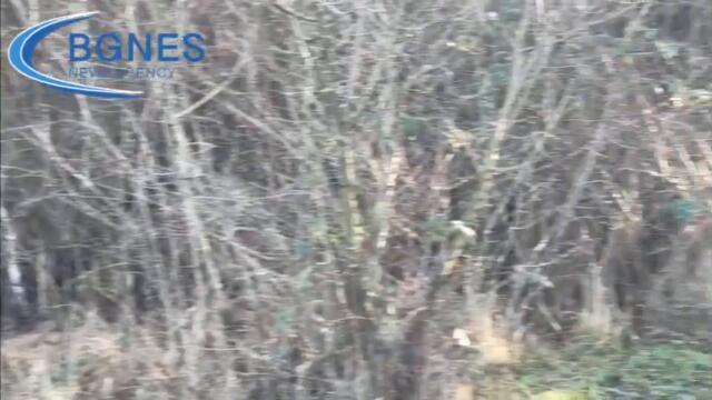 Димитър Талев оцелява по чудо в лагера Куциян, днес в Перник няма и спомен за трагедията