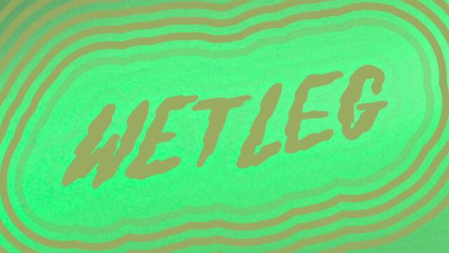 Wet Leg - Chaise Longue (Unknown Mortal Orchestra remix) (Official Audio)