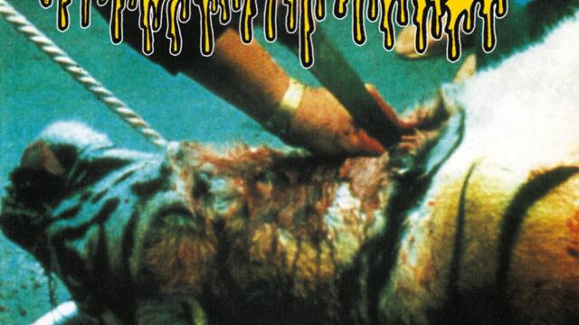 Agathocles - Lunatic & Didn't Ask