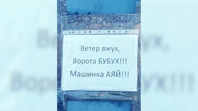 Фото подписчиков Фактории (166 часть)