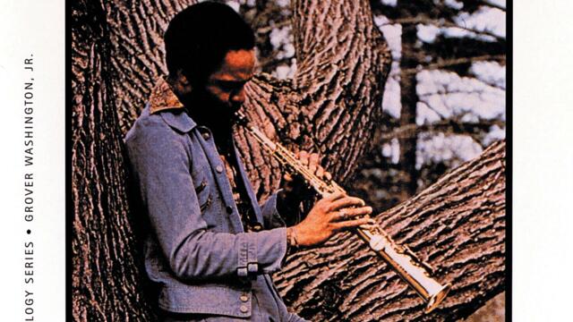 Mercy Mercy Me (The Ecology)