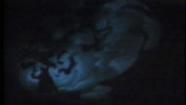 Opening To Once Upon a Forest 1993 VHS