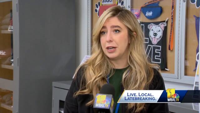 Adoption fees waived this week at BARCS