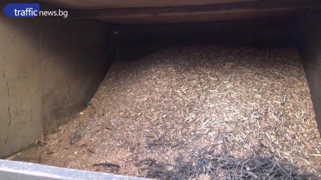 Дърво падна върху деца