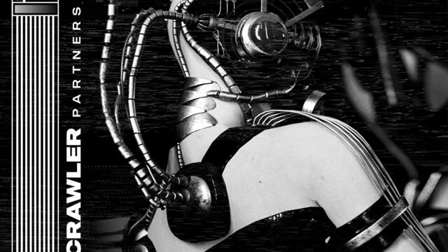 Partners in Pain (Revizia Remix)