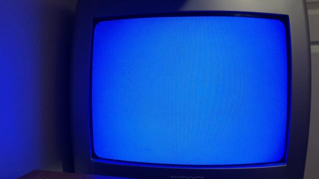 Opening to Stanley Hop to It! 2003 VHS