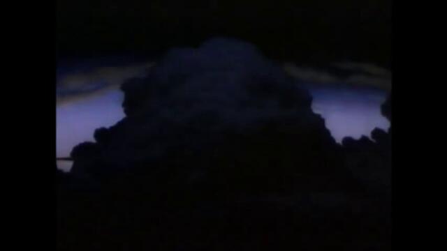 PAL Toned Tristar Logo 1