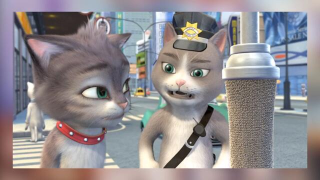 The CANCELLED Cat Tale...