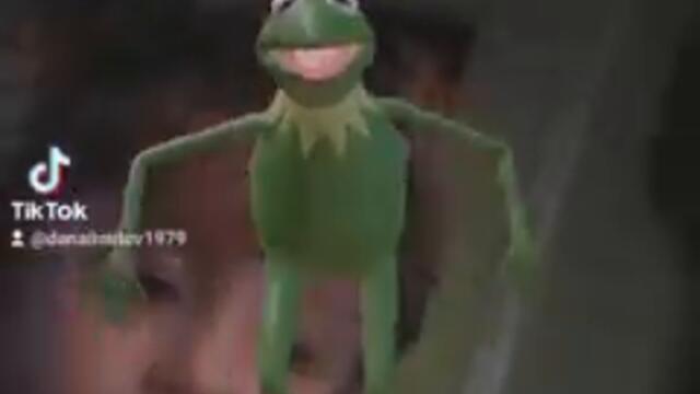 Дейвид се забавлява !