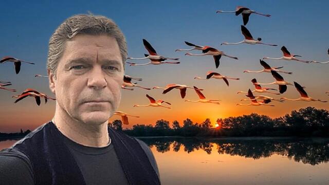 Сергей Маховиков   -  Здесь, под небом чужим