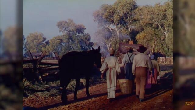 bandicam 2022-06-02 21-50-05-239