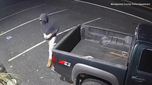 200-Pound Gorilla Statue Stolen on Camera