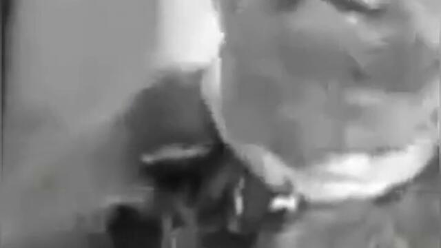 El Aterrador Lado Oscuro De Mickey Mouse #shorts #mickeymouse