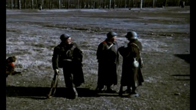 Това ми прилича на една армия дето воюва сега