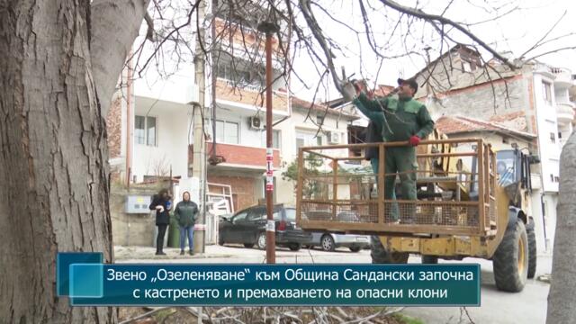 Звено "Озеленяване" към Община Сандански започна с кастренето и премахването на опасни клони