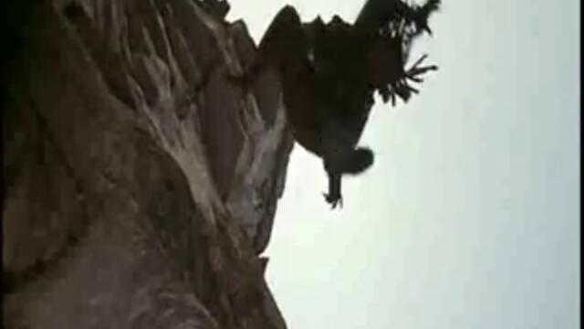 Игра На Оцеляване Филм Surviving.the.game 1ОТ3 1994 С ГАРИ БЪЗИ , АЙС ТИ И РУТГЕР ХАУЕР ОТ МУЛТИ ВИДЕО ЦЕНТЪР