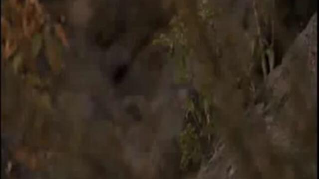 Игра На Оцеляване Филм Surviving.the.game 1ОТ4 1994 С ГАРИ БЪЗИ , АЙС ТИ И РУТГЕР ХАУЕР ОТ МУЛТИ ВИДЕО ЦЕНТЪР