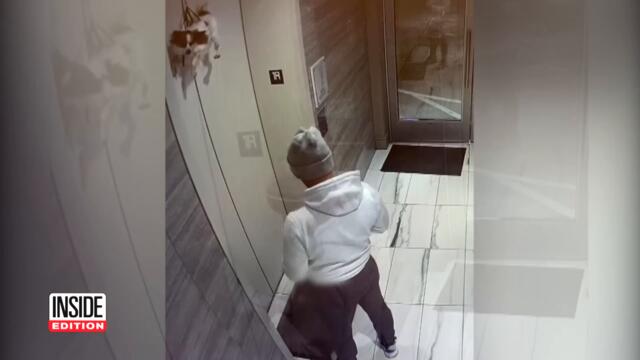 Hero Rescues Dog Hanging From Elevator