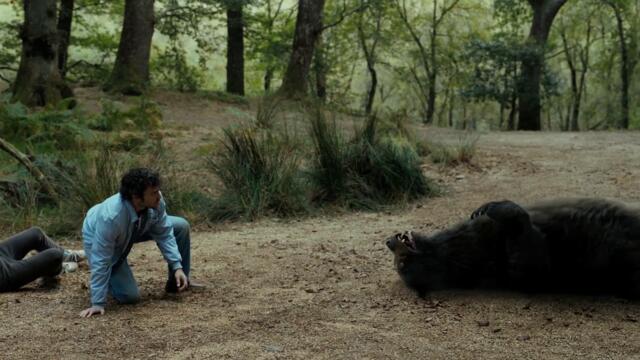 Кокаиновата мечка - трейлър / Cocaine Bear - official trailer