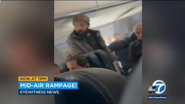 Man on flight from LA tried to stab flight attendant in neck with broken metal spoon: Officials