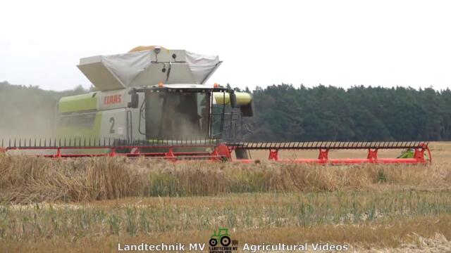 Claas - Fendt   Getreideernte - Grain Harvest