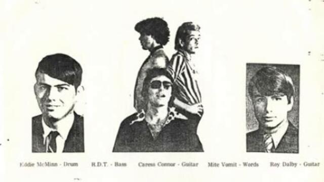 Vomit Pigs "Art Of The Insane"