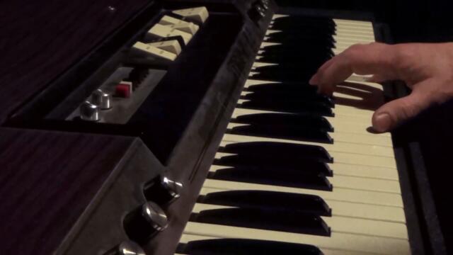 BRAGOLIN - Into Those Woods (Official Music Video)