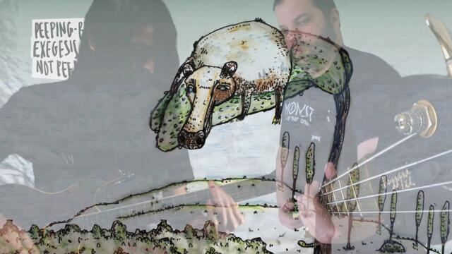 HOG MEETS FROG – peeping-bear's exegesis of not peeping