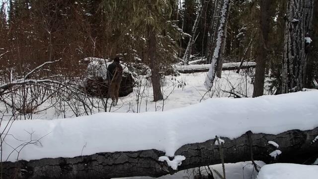 Surviving a -36° Night - No Tent & No Sleeping Bag