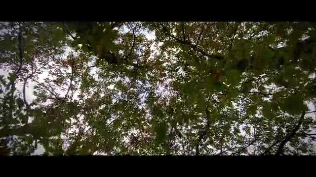 КАК СЕ ЗАПОЗНАХ С ЦАНОВ НАПРЕД И НАГОРЕ (2020.09.25)