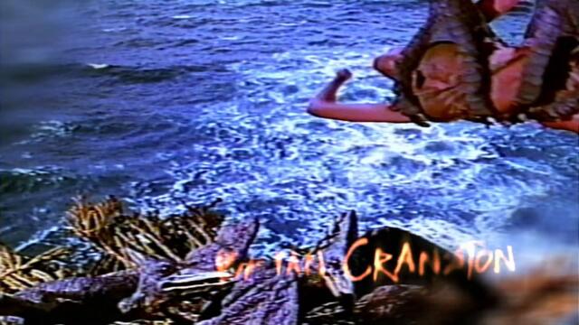 Malcolm.in.the.Middle.S05E17