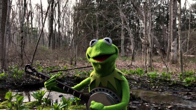 A Special Performance of "Rainbow Connection" from Kermit the Frog | The Muppets
