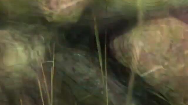 Grave Gnosis - Vultures (Official Music Video)