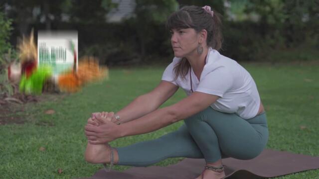 Flat Belly Tea Reviews : Will It Work For You? (PureLife Organics)