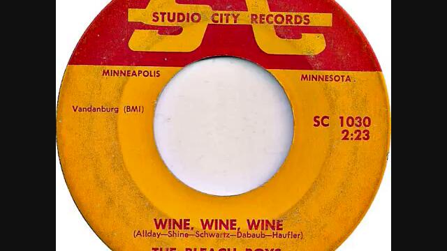 The Bleach Boys  - Wine, wine, wine