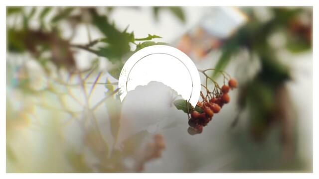 NevBorn · NEMEA