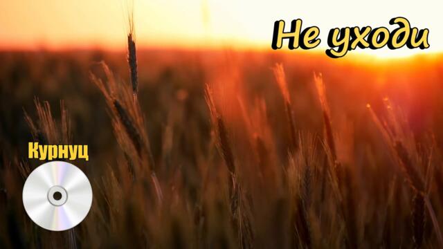 Formatia Curnut (Группа Курнуц) - Не уходи