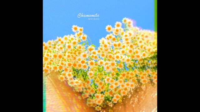 [free] chill indie folk acoustic guitar x no drums type beat - Chamomile