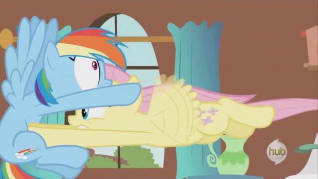 Fluttershy  I said NO