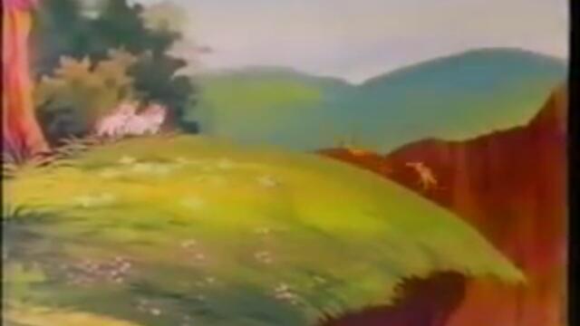 Opening To My Little Pony_The End Of Flutter Valley 2006 VHS