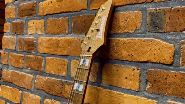Definitely Not My Signature Guitar | Tim Henson THBB10 | Ego Death Cover