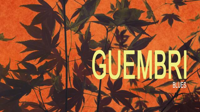 Guembri Blues