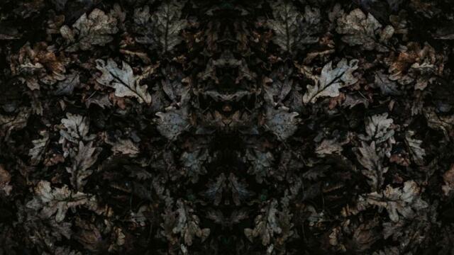 Remastered : 2023 : Full Album 👉 Remix 👈 : Virial - ( Band ) " Organic Universe " Album / Mathcore 🎵