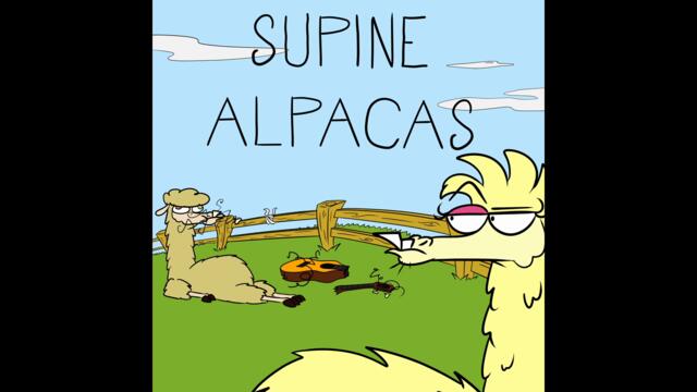 Supine Alpacas - Blue Lady Blue