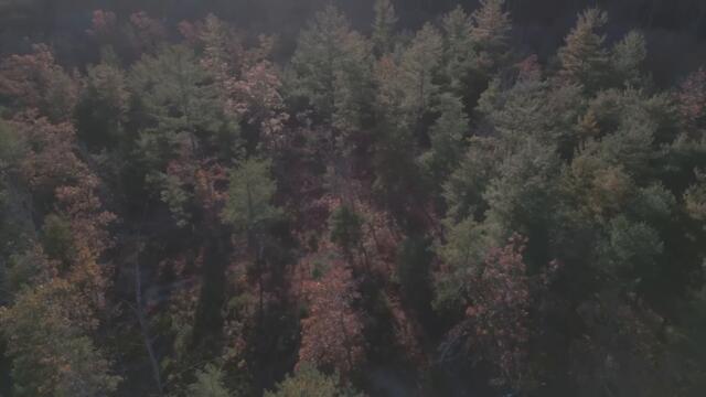 Dookie Den Build (DIY Outhouse) - Start to Finish